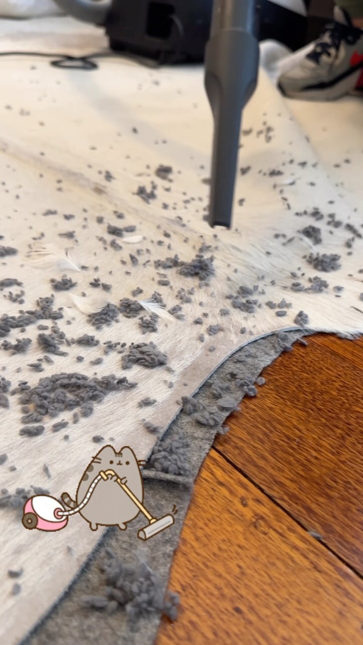 Vacuum day!!!😅🧡