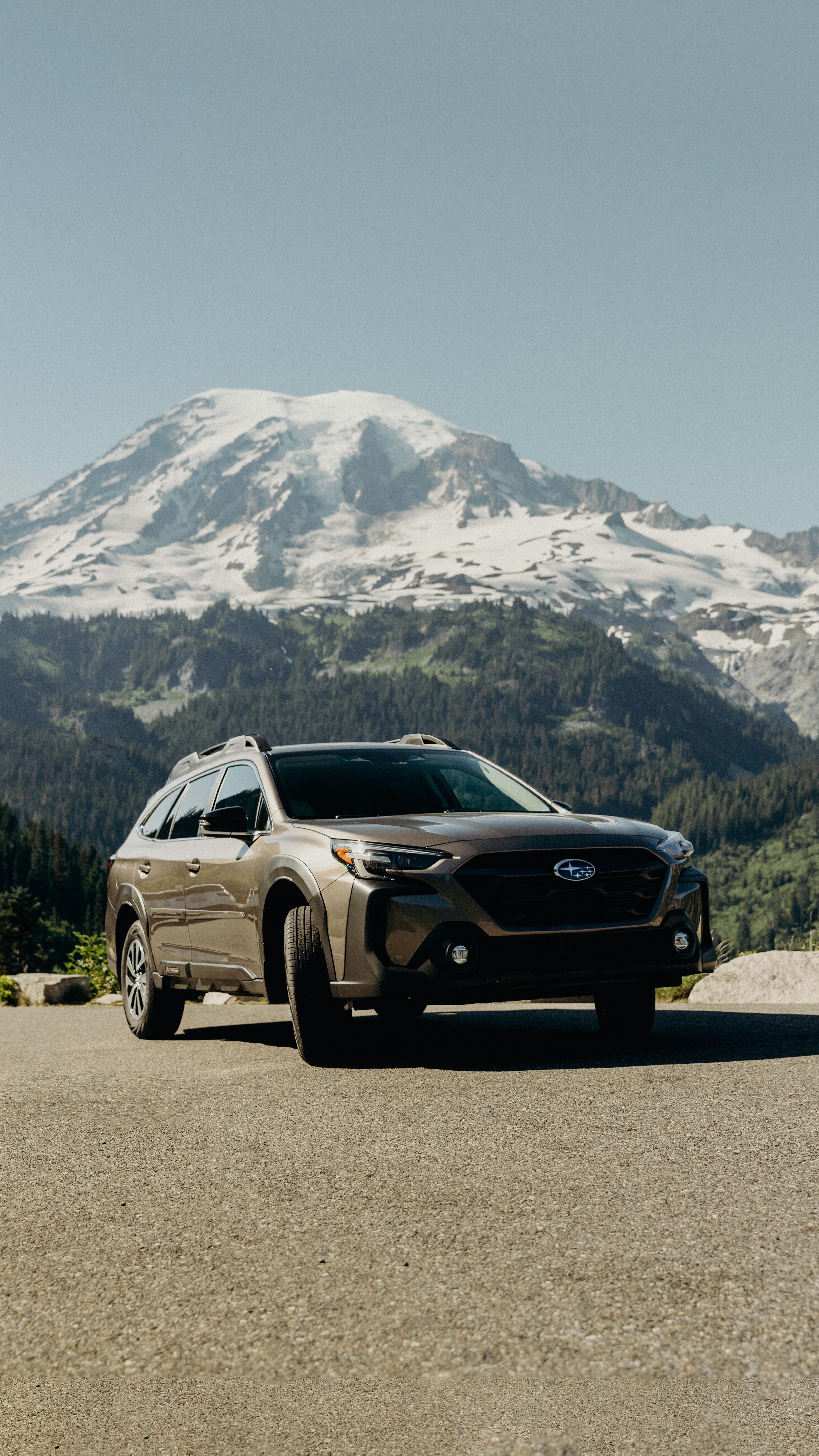 I had a great time exploring Mount Rainer National Park thank you @turo for making it happen.