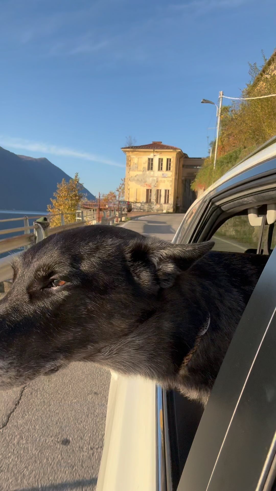 Kurz vor 5️⃣ Zuhause gestartet und kurz nach 8️⃣ in Italien 🇮🇹 Ziel ist der Comer See. #lagodicomo #hundeliebe #italia #autumn