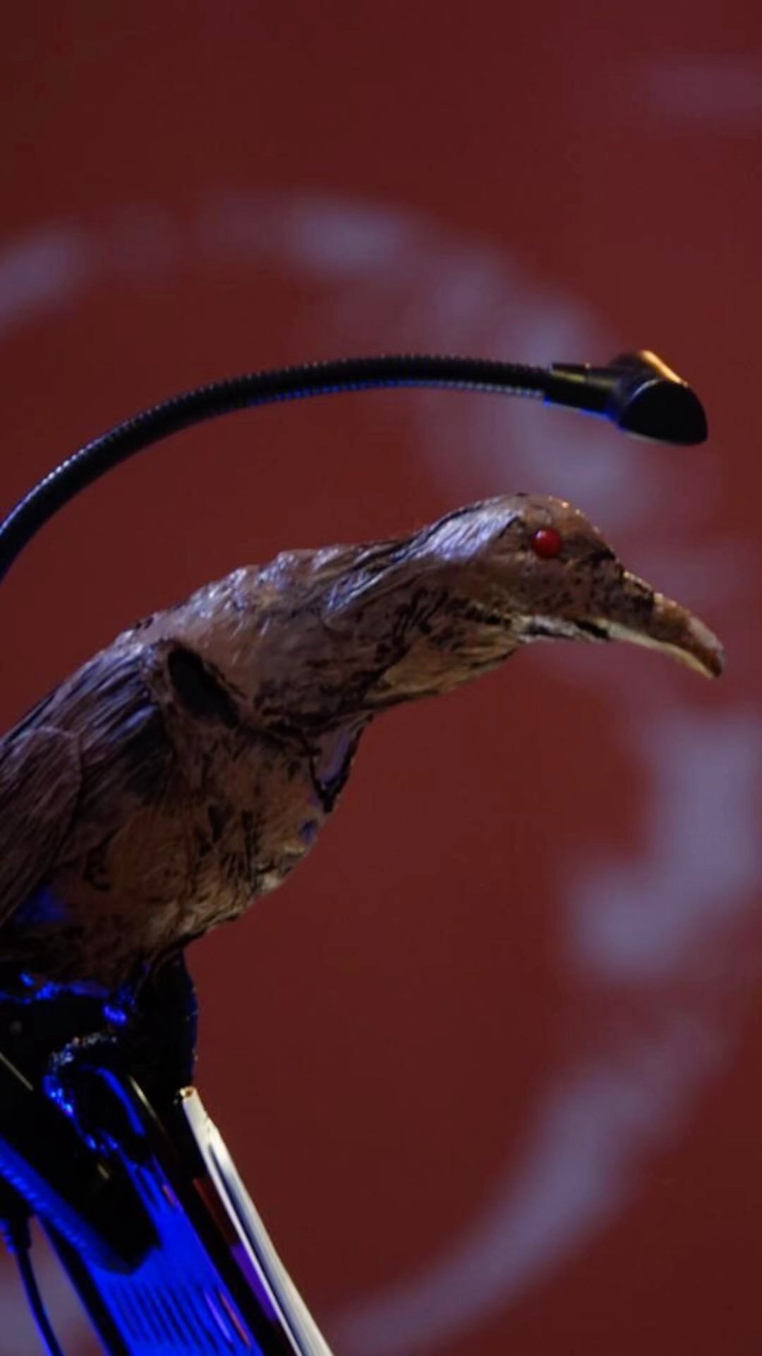 Dans le cadre du 13 eme festival d’Orgue de Cahors,
Le spectacle musical interactif pour Orgue(s) et Univers Sonores de Vincent Dubus et Baptiste Genniaux,
inspiré du conte des frères Grimm, a recueilli les suffrages enthousiastes de 250 enfants des classes élémentaires de Cahors et des environs. Retrouvez notre programmation sur le site officiel de l’orgue de Cahors (lien dans la bio). .
.
.
.
.
#orgue #organ #cathedral #cathedrale #departementdulot #cahors #villedecahors #musiqueclassique #paroisses #concert