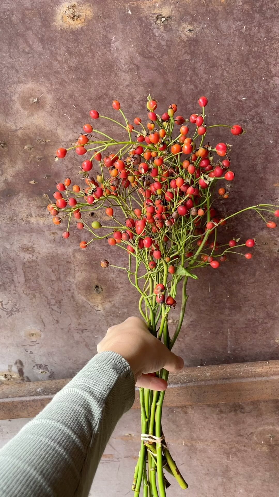 Workshop Schikken & binden - laatste plekjes beschikbaar 🌸
Ooit gedroomd van het maken van mooie bloemstukken en arrangementen, rechtstreeks uit je tuin?
✨ Doe een heleboel inspiratie op en leer de meest handige en mooie technieken voor het schikken en binden!
🌿 Het is een groepsworkshop, extra gezellig om je met je hobby- of tuinmaatje in te schrijven!
🌼 Jaarrond mooi: boordevol inspiratie om jaarrond een stuk op tafel te zetten
💐 Het gaat om DOEN! je neemt het pronkstuk mee naar huis 😊
🫖 Incl koffie thee en lekkers
📅 Datum: zaterdag 30 september
🕙 Tijd: 13:00
🏡 Locatie: Tuincentrum Sterk
€ 29,00 per persoon
Reserveer via 0183 622 941
Of ga naar onze website : link in bio!
#tuinieren #bloemschikken #groenevingers #tuintips #pluktuin #tuinieren #laatsteplekjes