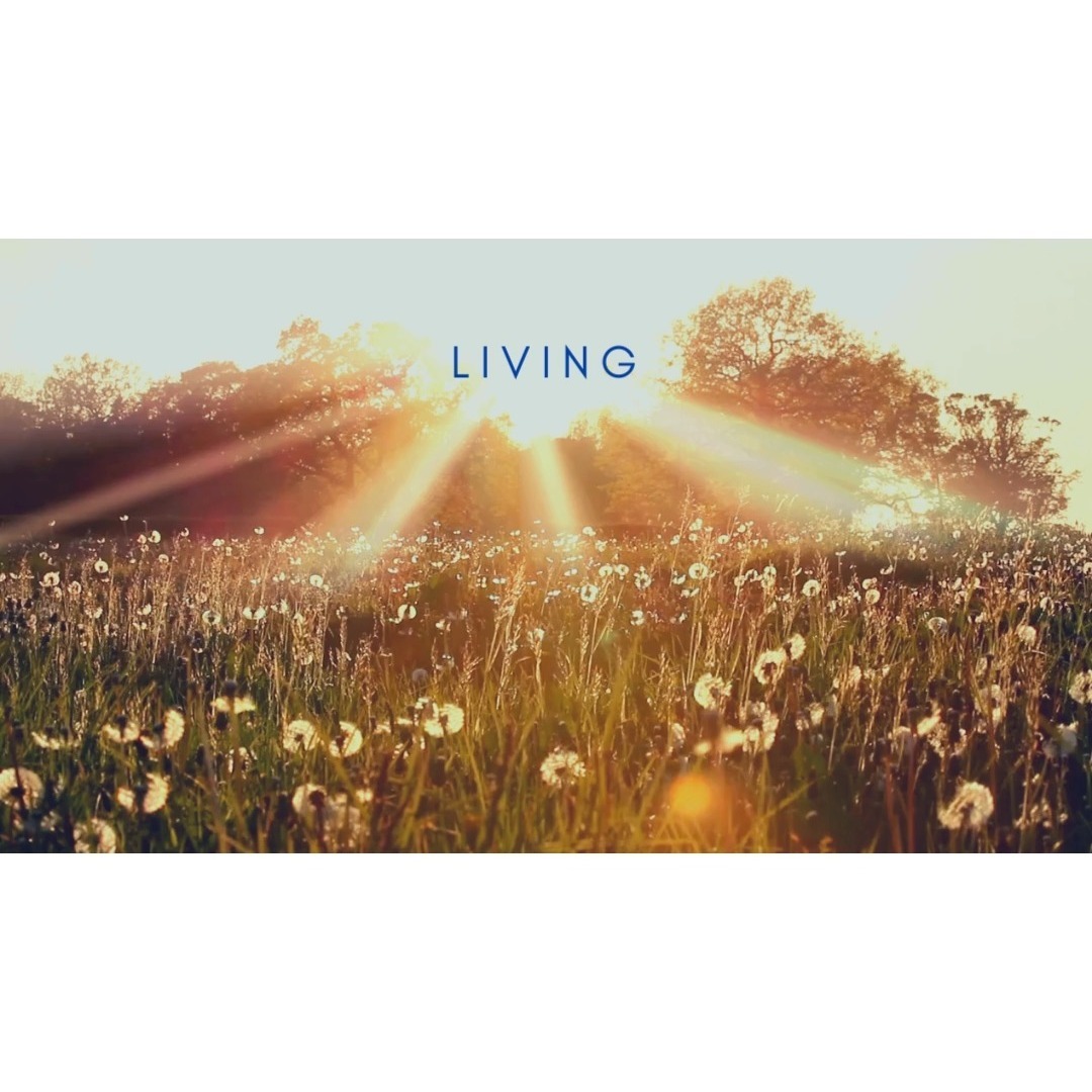 Beautiful People,
As we say thank you and goodbye to 2023 and hello to 2024. I would like to share this video that I created with the core intention of helping and bringing us a bit of calmness in such challenging times. May this bring you peace from my heart to yours.
May we dance more, smile more and live more presently in the year to come! Cheers!
With Love,
@manuestrazulas
#affirmations #loveislove #GriefToGrowth #kismetology #meditation #shortmeditation #spiritualgrowth #healing #WeAreOne #love #grief #kismet
#healing #awaken #source #sourceenergy