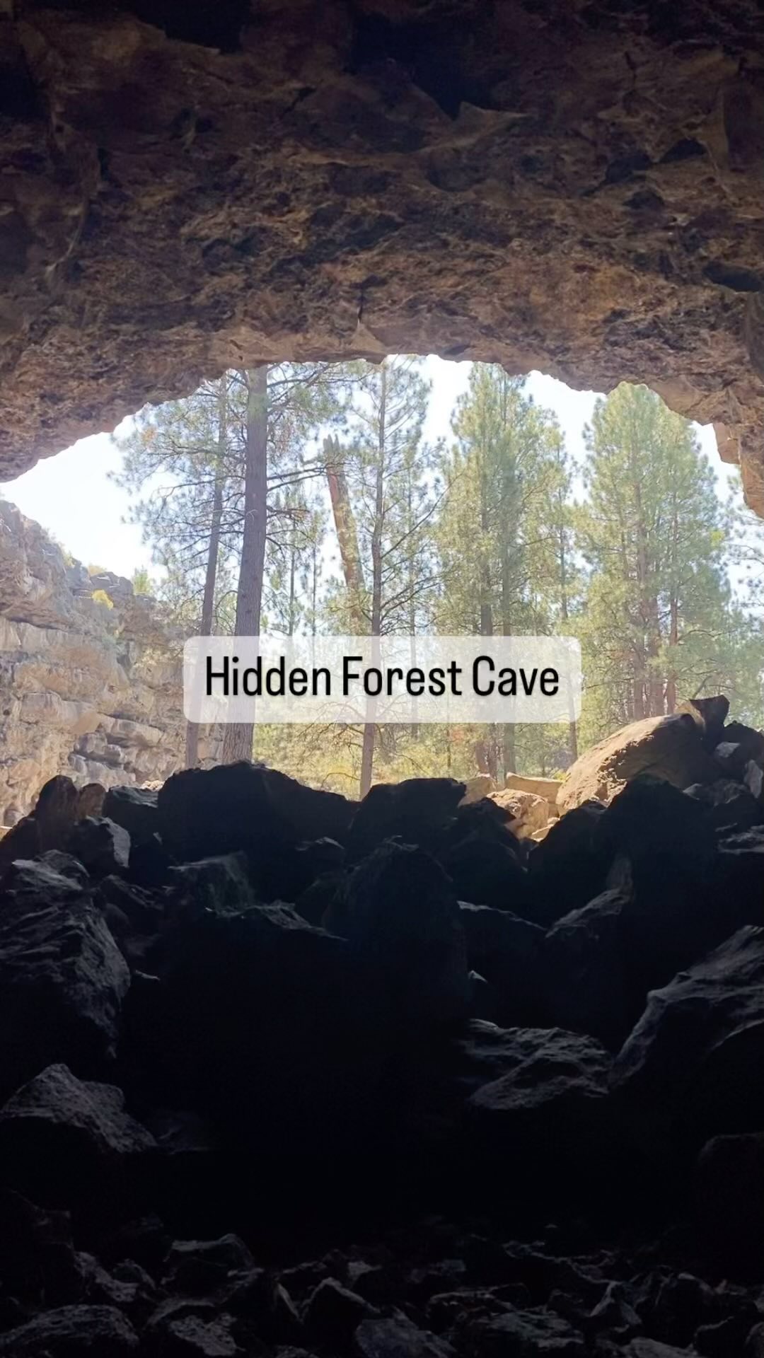 📍 Hidden Forest Cave (Bend, OR area)
Learning topics: caves, deserts, bats
Risks: unmarked trails, drop offs near caves, confined spaces
This is a more advanced adventure due to lack of marked trails. Hidden Forest Cave connects to another cave and is part of the same lava tube flow that created Arnold Ice Cave!
Want the details on how to safely navigate this thrilling adventure? Sign up at www.wildandbarefootadventures.com.
This adventure and a list of others in the area are coming soon along with our Volcano Unit Study!
#wildandbarefootadventures #offtrail #scoutingtrails #pnwkids #adventurefamily #outdoorclassroom#caves #cavingwithkids #hiddenforestcave #optoutside #oregonkids #oregonexplored #barefootkids #centraloregon #explore #wander #makememories #placebasedlearning #wonderfilledlife #outdoorkids #homeschool #homeschoolfamily #exploring #adventure #travalingwithkids