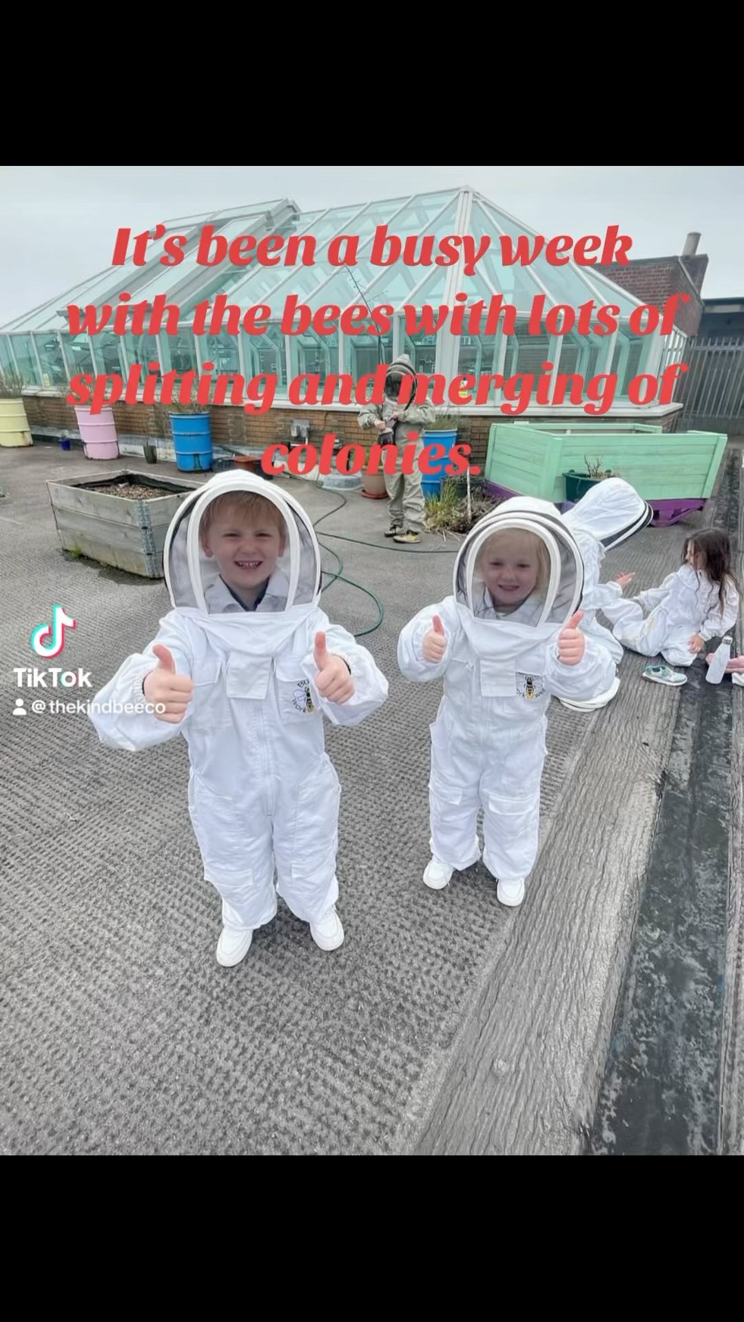 It’s been a busy week with the bees with lots of splitting and merging of colonies. @Grounded Community #honey #bees #beekeeper #honeybees #littlebees #bee #beekeeping #beetiktok #community #education #grounded