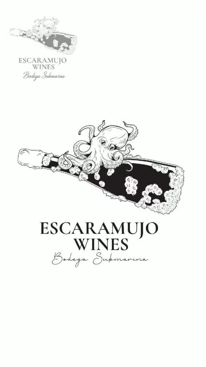 This is more than just a wine tasting; it's an unforgettable journey! Book your Escaramujo Wines experience today!
.
.
.
#EscaramujoWines #SailingAndWine #LuxuryExperience #WineTour #PolishTraveler #BoatLife #SipSavorSail #WineLovers #SunsetSailing #TravelMore