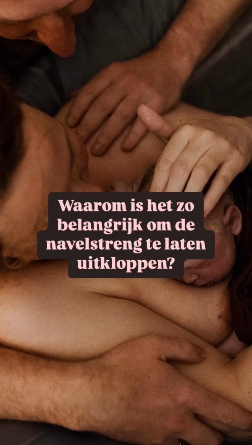 In de minuten na de geboorte van je baby is je placenta nog hard aan het werk om het bloed terug naar de baby te pompen. Zuurstof, stamcellen en bloed worden op deze manier teruggegeven in die eerste minuten dat de baby zich aanpast aan haar nieuwe wereld.
Ook heeft je baby een hogere ijzerwaarde in haar bloed als de navelstreng is uitgeklopt.
➡️ Juist als baby’s een slechte start hebben, is het van belang om al dat bloed terug te krijgen.
Wist jij dit?
#navelstreng #bevalling #cordcutting #newborn