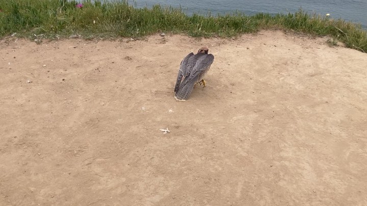 Remember to take a break from your busy day for a quick, restorative, dirt bath 🥰🥰