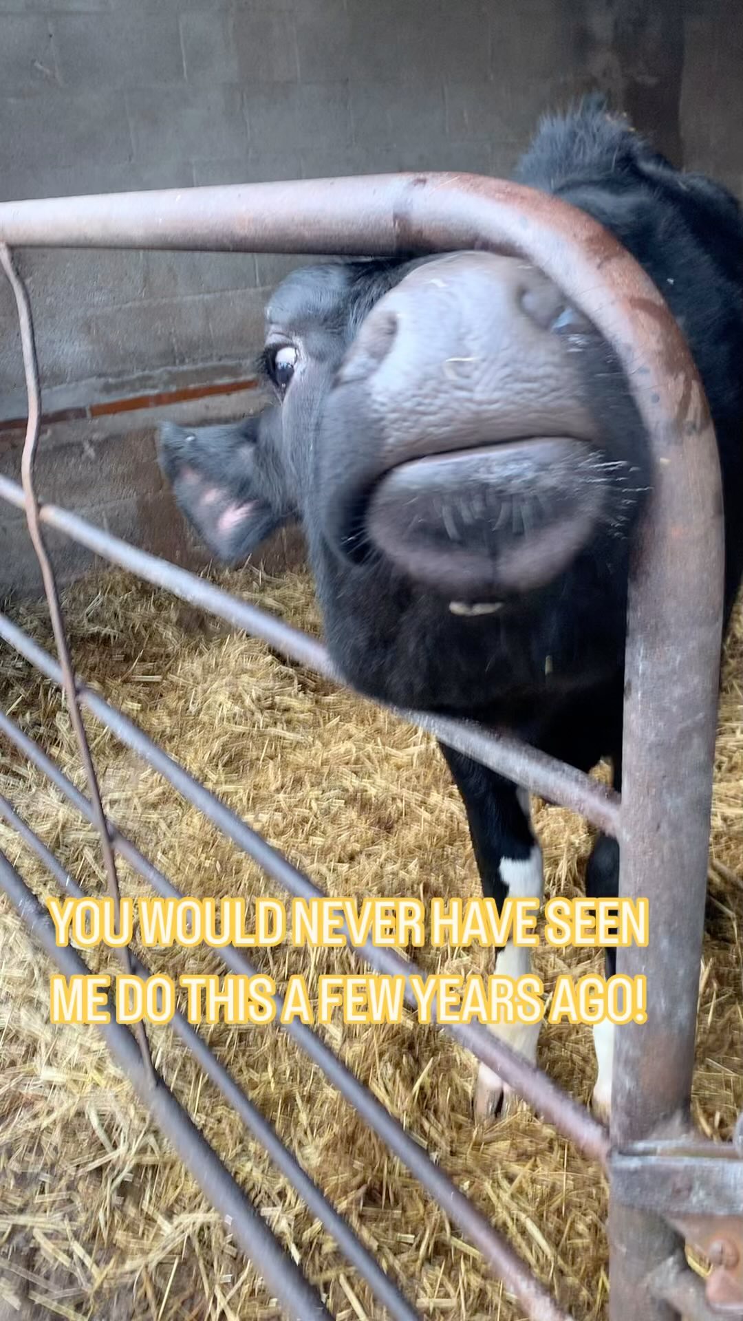 VENTURE OUTSIDE YOUR COMFORT ZONES, THE REWARDS ARE WORTH IT!
The cow is symbolic to trauma I had when I was younger!
Which created fear, to the point I would freeze (could move, actual temporary paralysis).
Me getting to this point with a cow, is way more than me and cows!
When we release fears, trauma, wounds, the freedom in our minds, allows us to go and create more of what we want in our life!
The sense of:
‘IF I CAN DO THAT, WHAT ELSE CAN I DO?’
ACKNOWLEDGE WHAT WE’VE DONE OR OVERCOME, CAN HEIGHTEN THE QUALITIES WITHIN US. STRENGTHENING OR CREATING THEM, IN YOUR MIND AND BODY.
✨HERE ARE SOME OF THOSE POTENTIAL QUALITIES:
SELF TRUST
COURAGE
BRAVERY
STRENGTH
CONFIDENCE
CALMNESS
PEACE
✨ WE ARE A PRODUCT OF OUR FEARS, IF WE KEEP BELIEVING THEM!
🤔 REFLECTION: WHAT COULD YOU DO THAT’S OUT OF YOUR COMFORT ZONE?
🪄 CREATIVITY: GO STEADY, TRY WITH THINGS THAT YOU FEEL AN ELEMENT OF CONTROL OVER TO BEGIN WITH OR WITH SOMEONE WHO CAN SUPPORT YOU!
For You
Fi
✨🪄