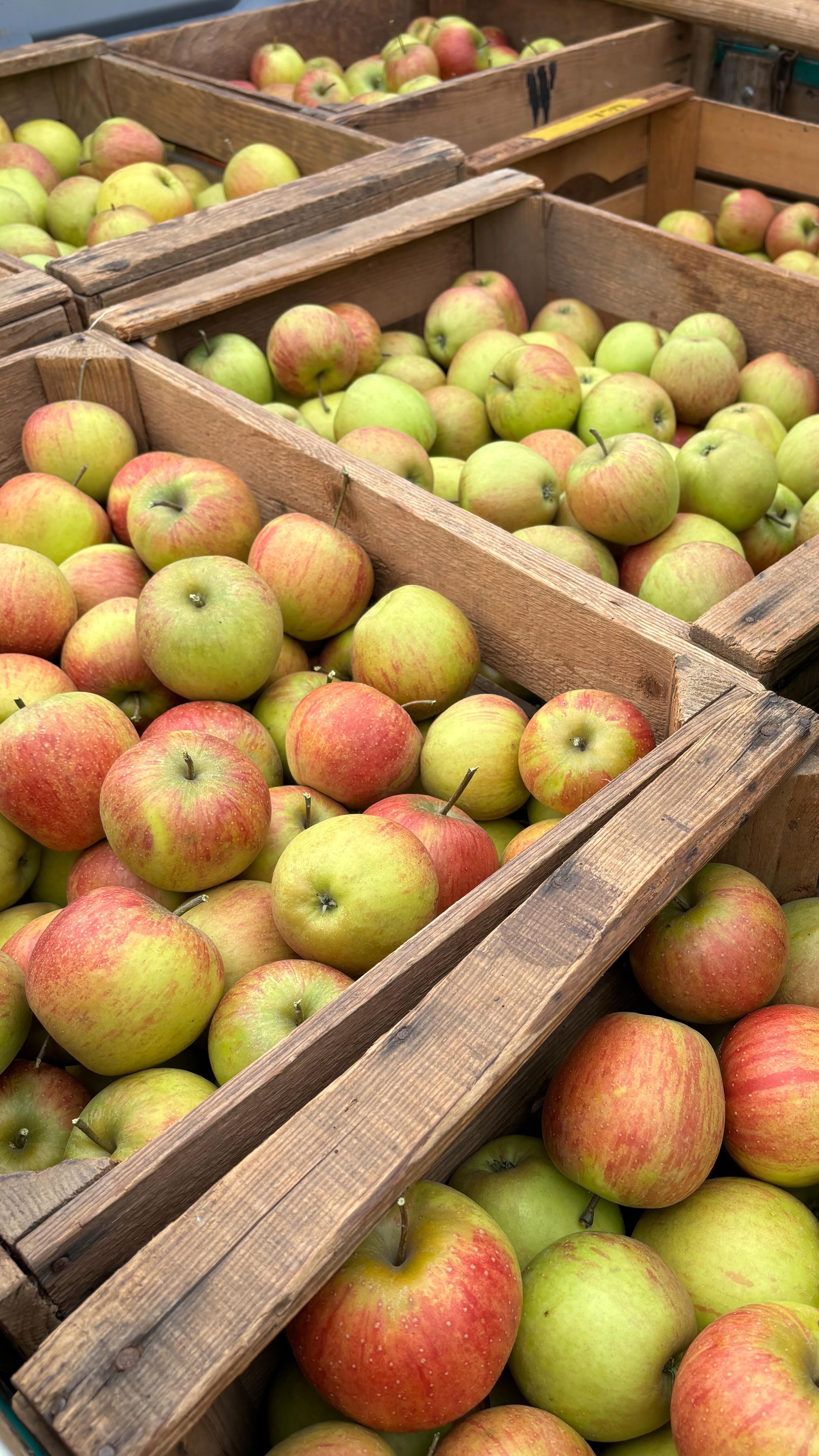 Erntezeit bei uns 🍏🍎🍐
#EdelbrennereiAichele #Streuobstwiese #Erntezeit #Äpfel #Birnen #Zwetschgen #ostfildern