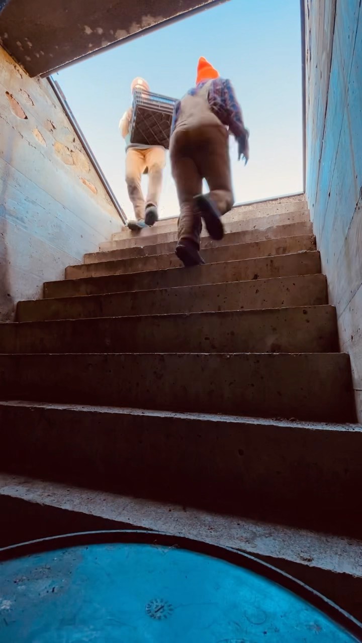 And with that, heavy lifting season is at its end! The onions, garlic, squash, celeriac, cabbage, beets, turnips, carrots and potatoes have all been harvest and squirreled away in their respective cellars.
