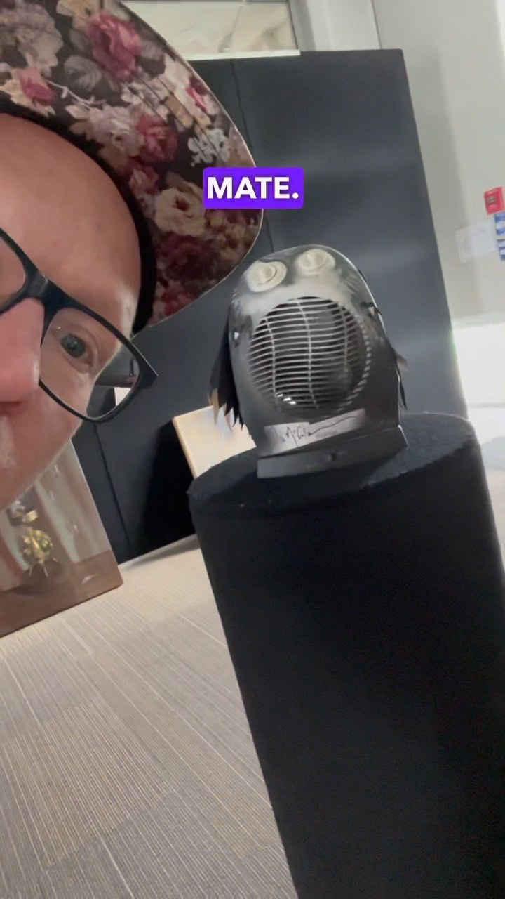 If you’re dropping a gold coin donation and visiting the exhibition on Saturday or Sunday, DON’T FORGET that you can take part in the silent auction for 90% of the artworks!
*
This is our school’s BIGGEST fundraiser, and we can’t wait to see you all TOMORROW AAAAAH HOW DID THAT HAPPEN?!?! 😱🎉
*
#ōhinehou #bankspeninsula #whakaraupō #lyttelton #newzealand #art #artist #artauction #community #fundraiser #nzartists #nzart #nzartistsoninstagram #billhammond