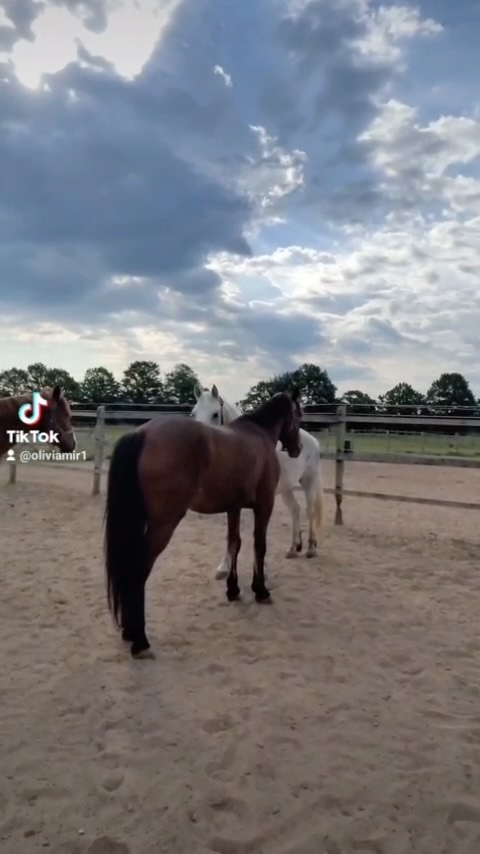 En lektion från elevernas perspektiv! #lasos