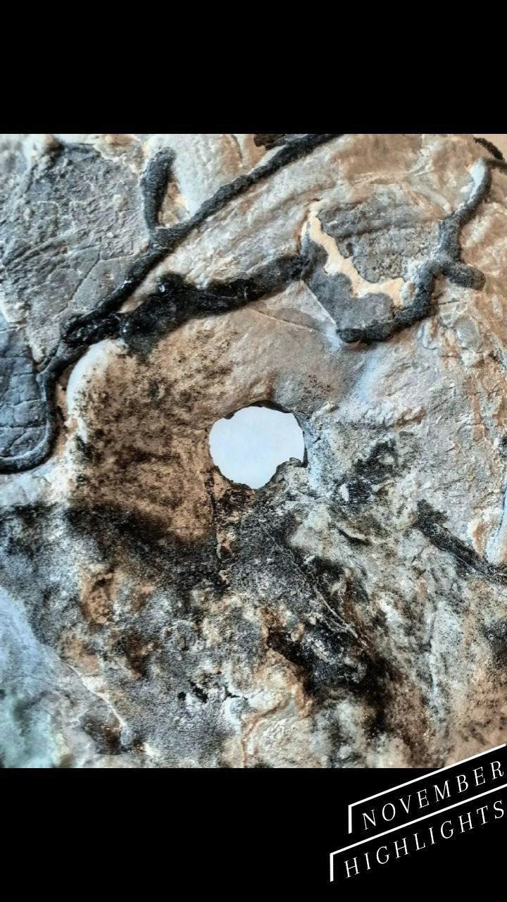 November highlights.....
#artistlife #kilnglass #fusedglass #bullseyeglass #caithness