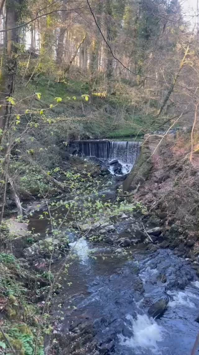 EXPECTATIONS, INTENTIONS & EGO
Had one of those beautiful, deep and reflective conversations yesterday
during a long walk through nature,
where thoughts drift like water
and ideas breathe a little easier.
We spoke about the quiet tension
between expectations and intentions,
and how ego, like a still current beneath the surface,
often moves without being seen.
💭 Expectations come with weight.
They cling to outcomes, recognition, control.
Born of ego’s need to prove, to shape, to be right.
They tighten the flow.
💫 Intentions feel different.
Lighter. Freer.
They ask, “How do I want to show up?”
Not, “What will I get?”
They move like water—clear, calm, responsive.
In business and in life, I’ve learned:
expectation can cloud judgment.
It builds dams, creates pressure,
and leaves little room for the unexpected.
But when we act from intention,
we become like water.
We flow around obstacles,
we adapt, we nourish.
We’re not trying to control the river—
we are the river.
Moving with purpose, not force.
With clarity, not clinging.
Nature’s been whispering this wisdom all along.
No forcing. No proving.
Just aligned expression.
Just the flow.
Have a wonderful day.
“Be like water” - Bruce Lee
❤️✨☝️🙏