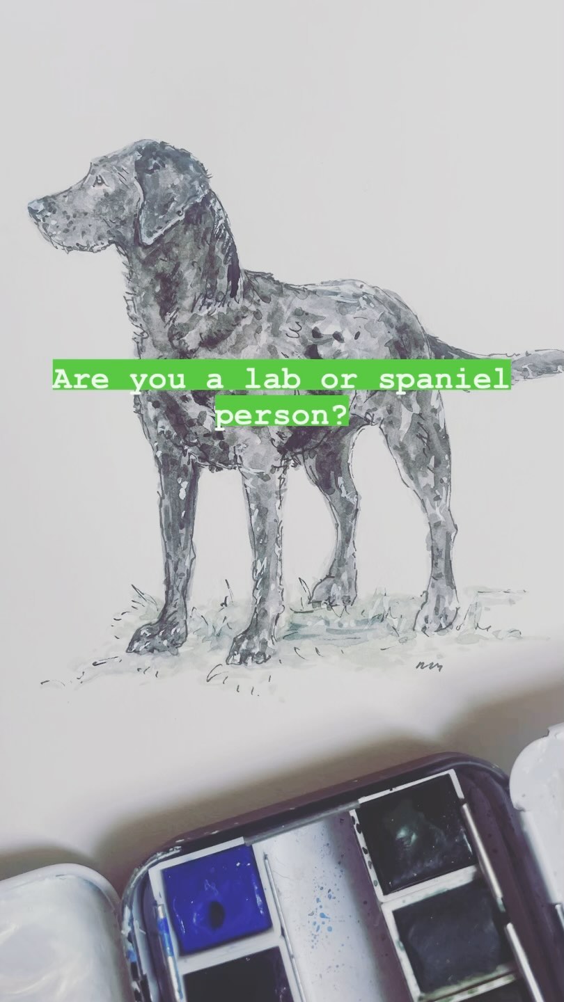 Cocker spaniels are still the dogs for me as I cling on to my youth, but the idea of a nice steady lab grows more and more appealing! 😂