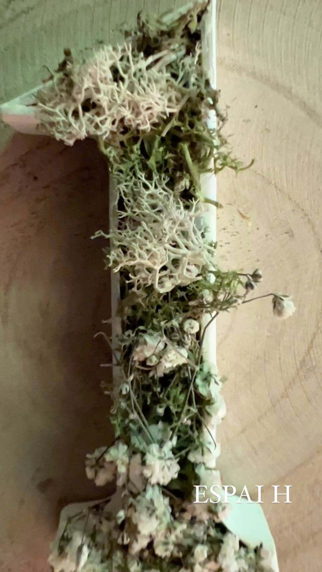 🍀 DETALLS 🍀
Els petits detalls donen la personalitat que falta a l’espai.
Recordeu el centre d’estètica de l’últim post?, aquests són els identificadors de les sales.
#espaih #detalls #agramunt #dsign #esteticajudith #vegetaldesign