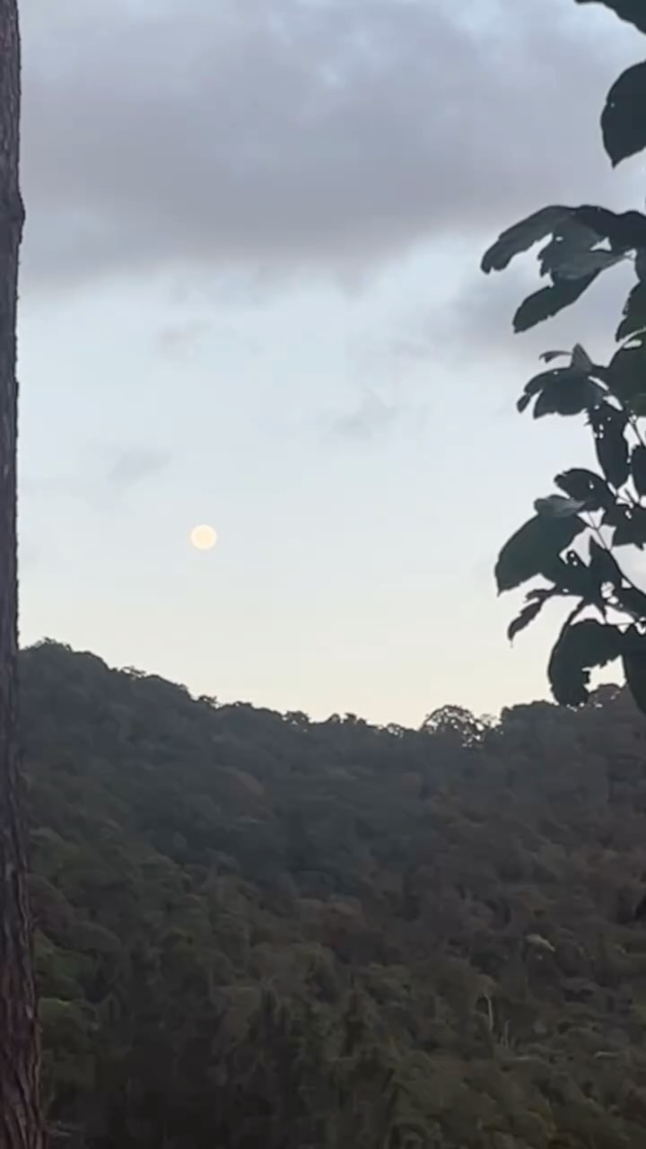 33 🌕 Full moon cozy. Grateful for friends who made crossing over so special, and the dads who helped!
Looking back, my top 10 of last year🤲
1. Seeing close friends of mine become mamas for the 1st, 2nd or 3rd time 👶🏻
2. Vipassana 10 day silent retreat, Dharamsala 🧘🏻♀️
3. 1 month @slowpottery residency on a mango farm, Andhra Pradesh 🇮🇳
4. Surf Yoga Retreat @gypseaco_ , Ahangama 🇱🇰
5. 1.5 months in 🇬🇩 as 1st humanitarian response
6. 1 month work exchange in 🇨🇺
7. Glaze making workshop at @yarostudios with @john.britt1
8. 2 of my favourite friends from my Masters coming to visit from 🇨🇴🇨🇭with @andre__pera @tatianatagli
9. Reunion in 🇧🇧 with @bdumeli and hot chocolate
10. Moving into the cottage 🏡
My theme was Home/ Nesting. A physical and internal home I could return to, when I had to fly away. This year is all about settling down ✨