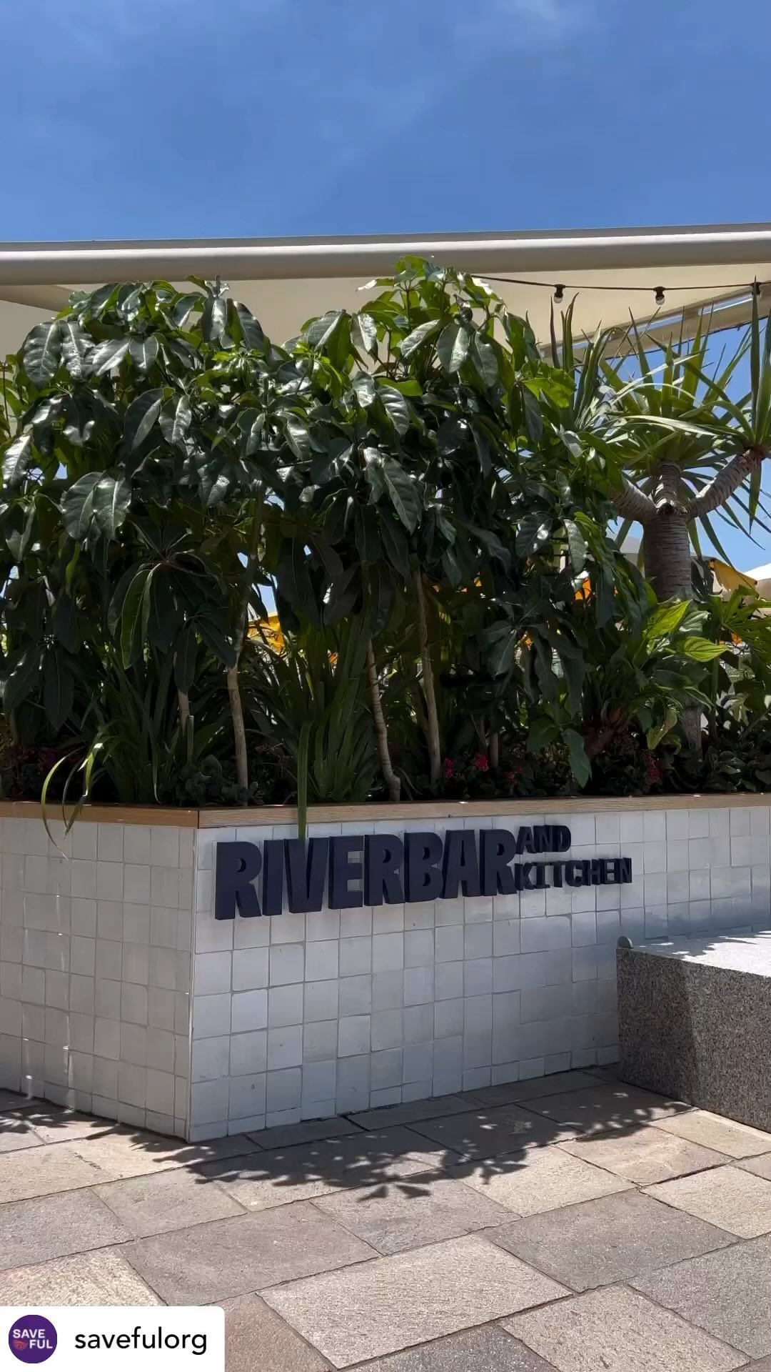 And this happened last week!
With our Ambassador @chefmattmoran , we launched @savefulorg . A new app to help Aussie families save food, save money and save time!
We’re on a mission to reduce food waste by half by 2030! Our FREE app empowers Aussies too make mealtimes stress-free, sustainable, and budget friendly.
Flexible meal frameworks, make meals with what you have
Get storage tips to make your food last longer
Leftover makeover ideas
Track your savings and impact
Ready to cook, save and make a positive impact?
Download Saveful, and discover how you can SAVE! www.saveful.com