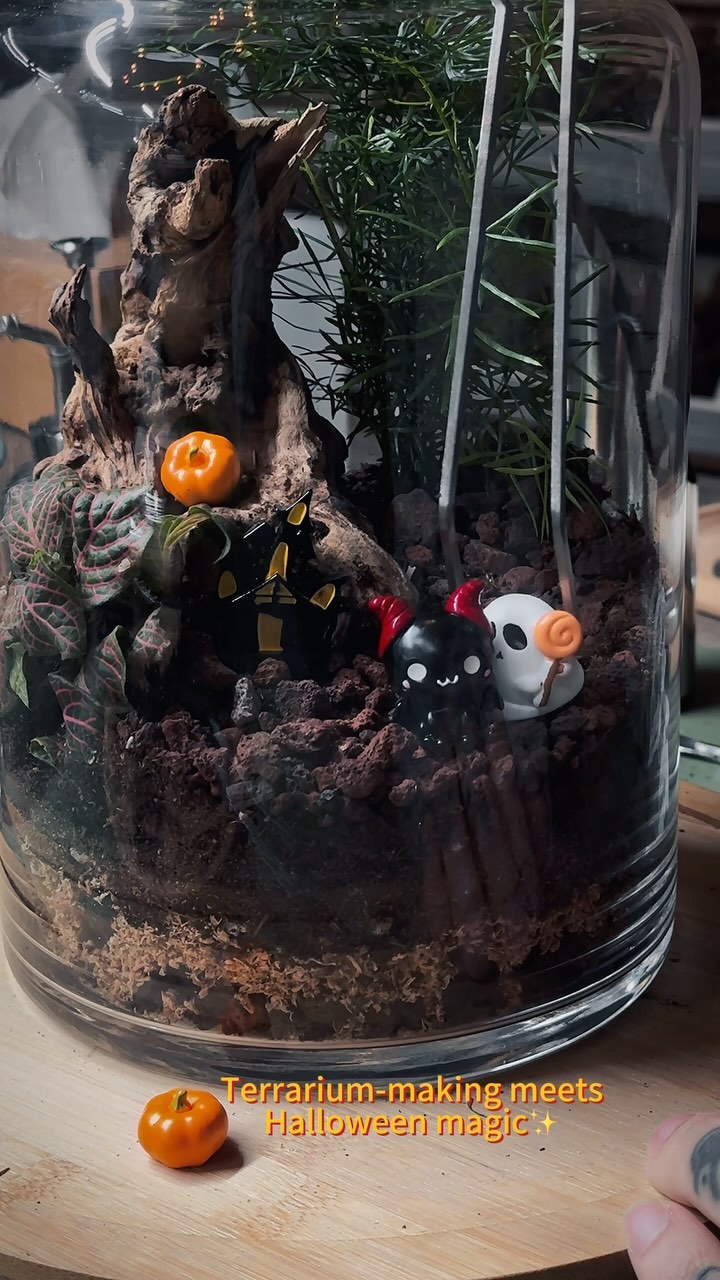 Halloween figurines are only available for a limited time! 🎃👻 Get yours from October 25th-27th and on the 31st! Don’t miss out on adding a spooky touch to your terrarium!
#halloween #terrariumworkshop #diyterrarium #halloweenvibes #halloweenactivities #datenight