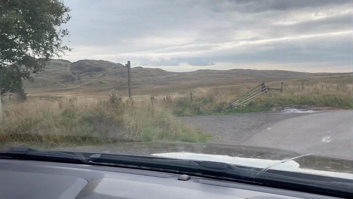 Nice commute
#sherrifmuir #autumn #wild #scotland #countryside #ochilhills #beauty