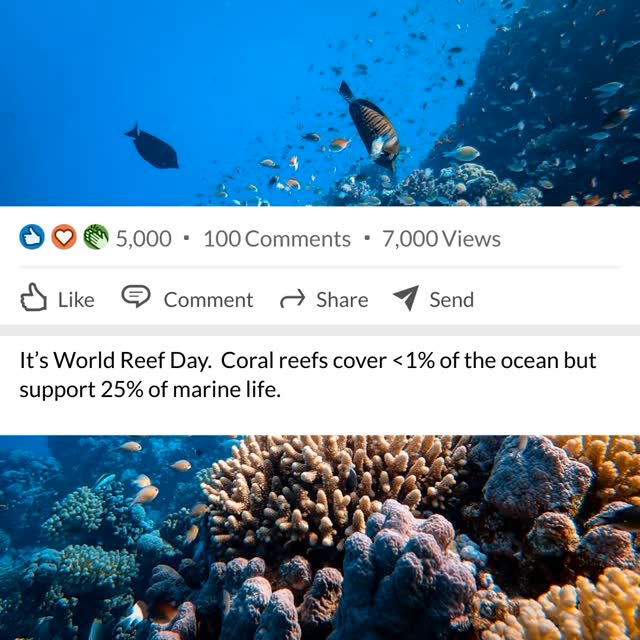 Happy World Reef Day!
Coral reefs protect coastlines, support biodiversity, and fuel BlueTech innovation. They’re not just natural wonders , they’re vital ecosystems at the heart of our mission.
As we co-create the future of ocean impact startups, we’re inspired by the resilience and beauty of reefs. Today, we celebrate the science, solutions, and sea change makers working to protect them. 💙
Let’s keep building a more regenerative ocean economy, one that ensures coral reefs thrive for generations to come.
#SeaChangeMakers #WorldReefDay #BlueEconomy #OceanInnovation #ReefRestoration #BlueTech #SeaworthyCollective #ReefResilience #ClimateAction #CoralReefs