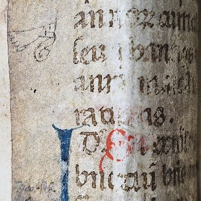 Volume from 1605 with a damaged binding, revealing sections of medieval manuscript used to reinforce the spine...
#tarringtonbooks #finebinding #rarebooks #finebindingfriday #bookworm #bookish #bookstagram #bookshop #bookshelf #bookstore #antiquebooks #rarebooks #antiquarianbooks #bibliophile #books #booksbooksbooks #bookaddict #bookaholic #bookgram #shelfie #leatherbinding #leatherboundbooks #bookworm #ilovebooks #bookphotography #oldbooks #bookporn #bookphoto