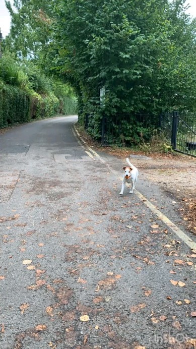 Just the usual Saturday shenanigans! 😉