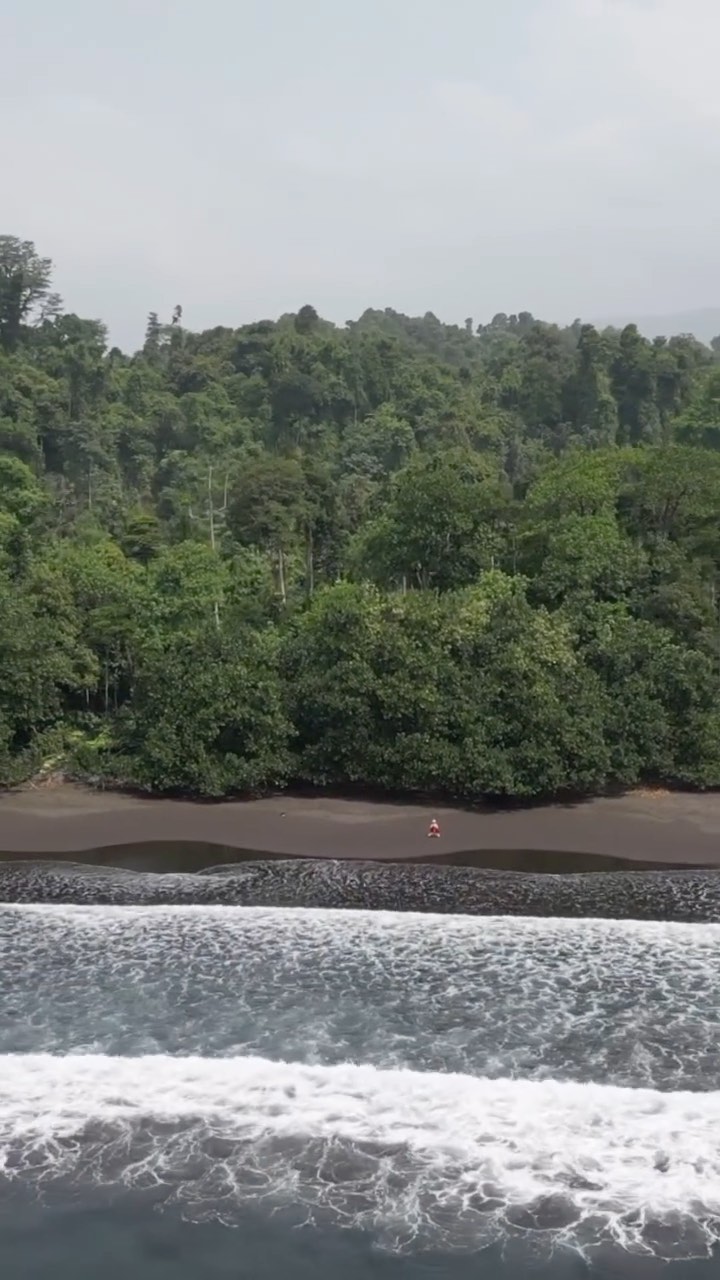 Traversée de la jungle de l’île Bioko en Guinée équatoriale. Merci au sponsor Petr’s Garden.