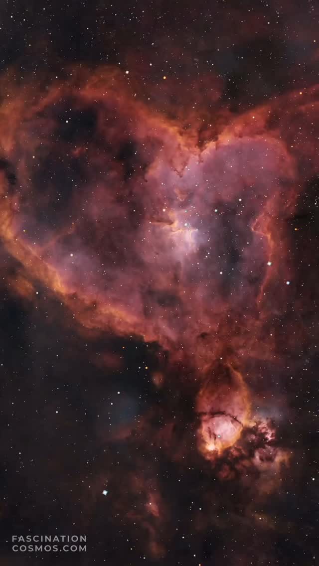 Herznebel (IC 1848)
Der Nachbar vom Seelennebel: Der Herznebel (auch IC 1805) ist wie der Seelennebel ein Emissionsnebel, also ein Nebel, angestrahlt von seinen umliegenden Sternen. Das Licht, das wir hier sehen ist 7500 Jahre unterwegs, wir erinnern uns, da war bei uns die Jungsteinzeit. Der hellste Teil des Nebels (ein Knoten, links an seinem westlichen Rand) wurde als erster entdeckt und wurde NGC 896 genannt. So ist das manchmal in der Wissenschaft, man tastet sich ran, Stück für Stück. Eine kleine Gruppe von jungen Sternen in der Nähe des Zentrums des Nebels macht hier die Beleuchtung und lässt den Nebel intensiv rot leuchten und so aussehen wie wir ihn sehen. Dieser offene Sternhaufen, bekannt als Collinder 26 oder Melotte 15, enthält einige helle Sterne mit fast der 50-fachen Sonnenmasse und viele weitere dunkle Sterne, die nur einen Bruchteil der Sonnenmasse ausmachen. Der Herznebel besteht auch aus ionisierten Sauerstoff- und Schwefelgasen, die für die satten blauen und orangen Farben verantwortlich sind, die bei der Aufnahme durch Schmalbandfilter besonders gut sichtbar werden.
Die Originalaufnahme habe ich somit mit 76 Schmalbandaufnahmen mit je 450 Sekunden und 71 LRGB Aufnahmen mit je 60 Sekunden, in Summe also mehr als 10 Stunden Aufnahmezeit in meiner Gartensternwarte mit einem Hyperstar 6", f/2.8, QHY268M und 3 Filtern belichtet. Mit Astro Pixel Prozessor, Pixinsight, Adobe PhotoShop verarbeitet und das Bild als Video animiert.
Bitte sehr gerne meine Post weiterleiten ! Jedwede andere Art von Kopien oder Nutzung ist nur mit ausdrücklicher Erlaubnis des Copyright Inhabers erlaubt. Bestellung von Kopien und Bildern gerne unter https://photo-portal.shop/profiles/fascinationcosmos.com/#/ oder einfach per Nachricht an mich.
#fascinationcosmos #cosmos #faszinationkosmos #kosmos #franzrettenbacher #astrophotography #astrofotografie #astrophoto #astrofoto #deepsky #astronomie #astronomy #astro #teleskop #amateurastrophotography #qhy268m #HEM27EC #iOptron #deepspace #IC1805 #Herznebel