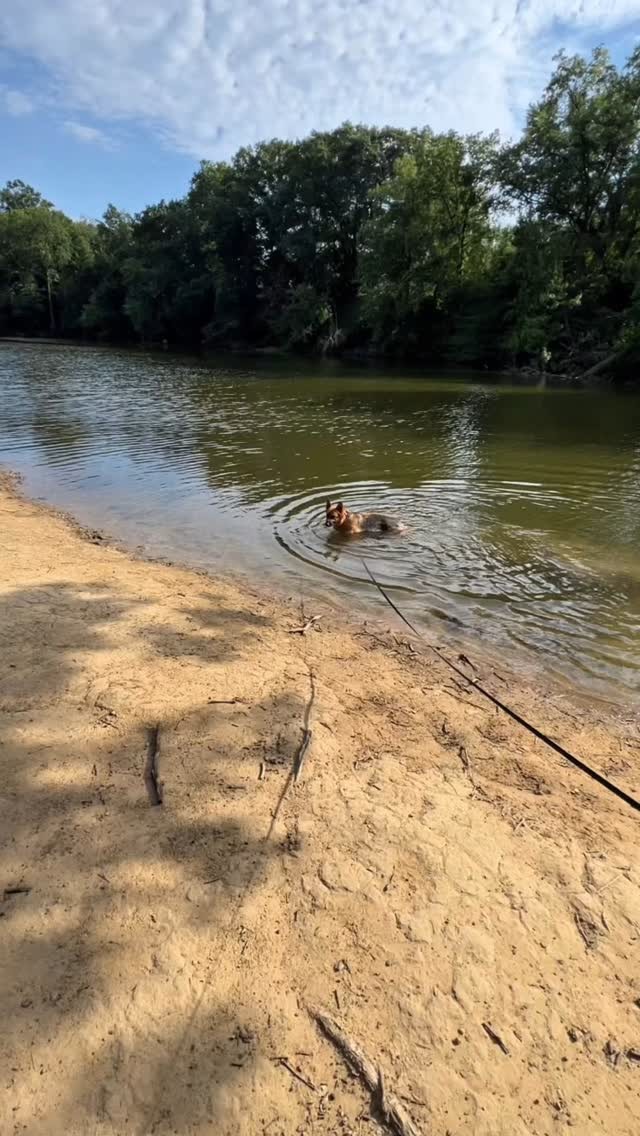 🐾 Seguro tú también tienes una historia con tu perro ❤️ Escucha esta linda historia mostrando cómo ese vínculo que sentimos por nuestras mascotas sea tan profundo 🐕
ㅤ
ㅤ
#CachorrosRD #Historias #Perros #Dogs #Pets #Mascotas #Ohio #Florida #LoveDogs #PastorAleman #GermanShepherd #Lake #Family #Familia