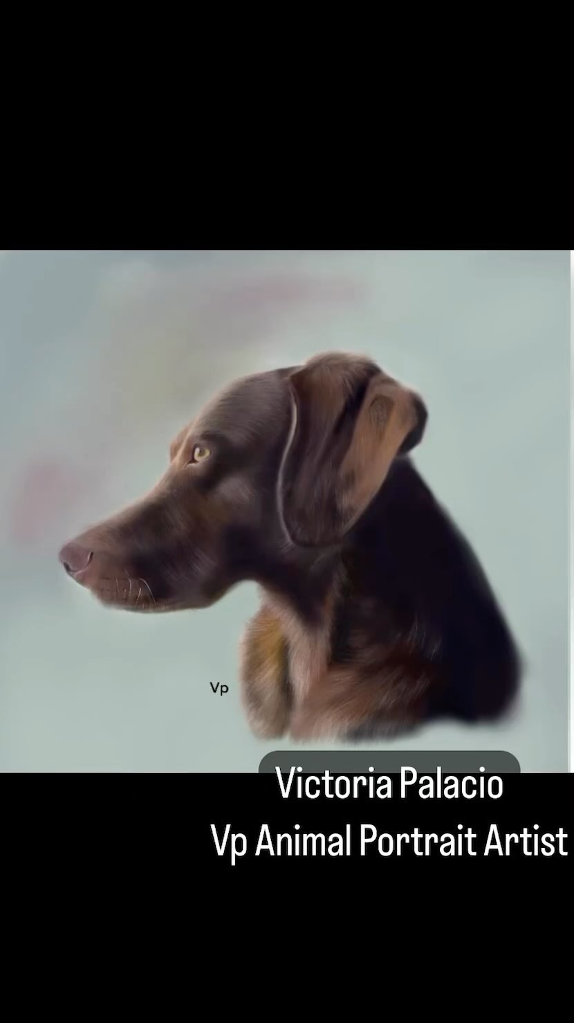 A drawing I did of this lovely dog named Cooper. I hope you like it.