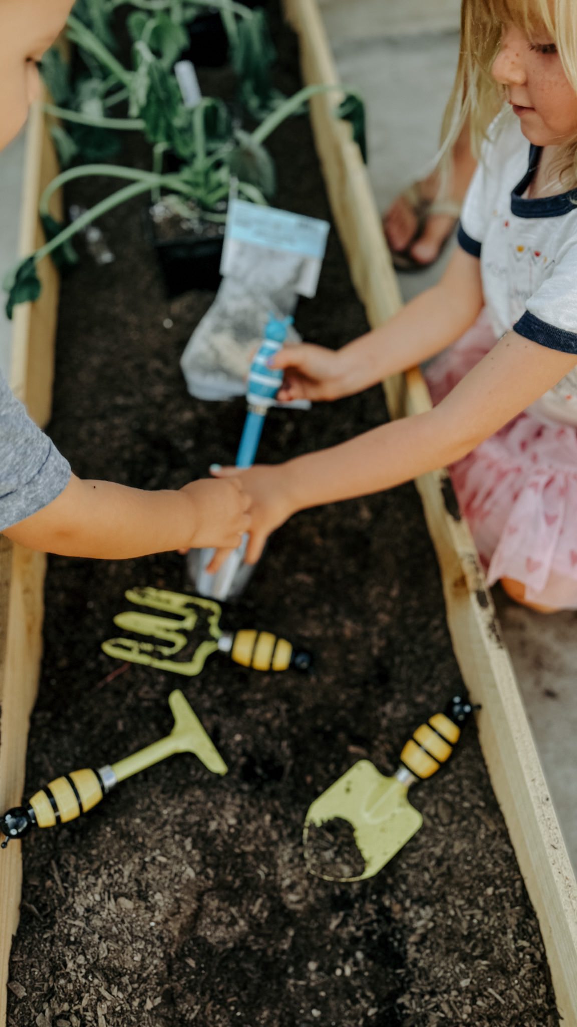 🌿 At Wild Peaks Collective, gardening and permaculture are woven into the heart of our curriculum for so many reasons! 🌱 Not only does interacting with soil and plants boost serotonin and promote mental wellness, but it also teaches children invaluable lessons about nutrition, self-sustainability, and the science of life. 🌻 Through hands-on learning, our kids discover the magic of growing their own food, why plants need water and sunlight, and the importance of soil microbiomes for a thriving ecosystem. 🌞
These moments in the garden aren’t just about plants—they’re about cultivating curiosity, respect for nature, and the healthy development of mind and body. 🌼🍓
Classes start September 9th, it’s not too late to enroll. Schedule your tour today!
#WildPeaksCollective #GardeningForKids #PermacultureInLearning #GrowYourOwnFood #SoilScience #HealthyKids #HandsOnLearning #NatureBasedEducation