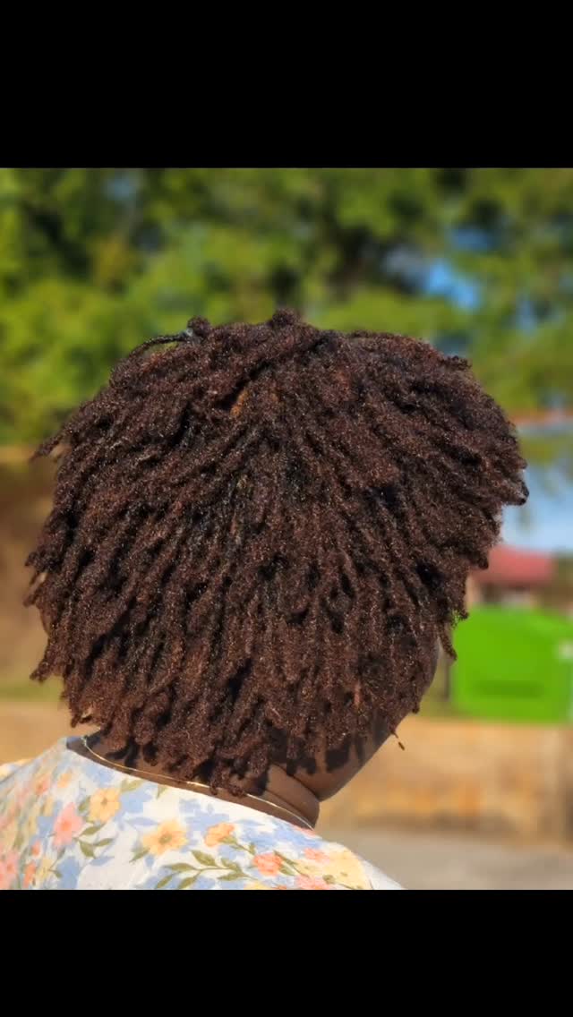 A lil summer color for your locs.... yaaassss.
#sisterlocks #sisterlocksmobileal #locjourney #sisterlocs #loclove #womenwithlocsrock #retie #microlocs