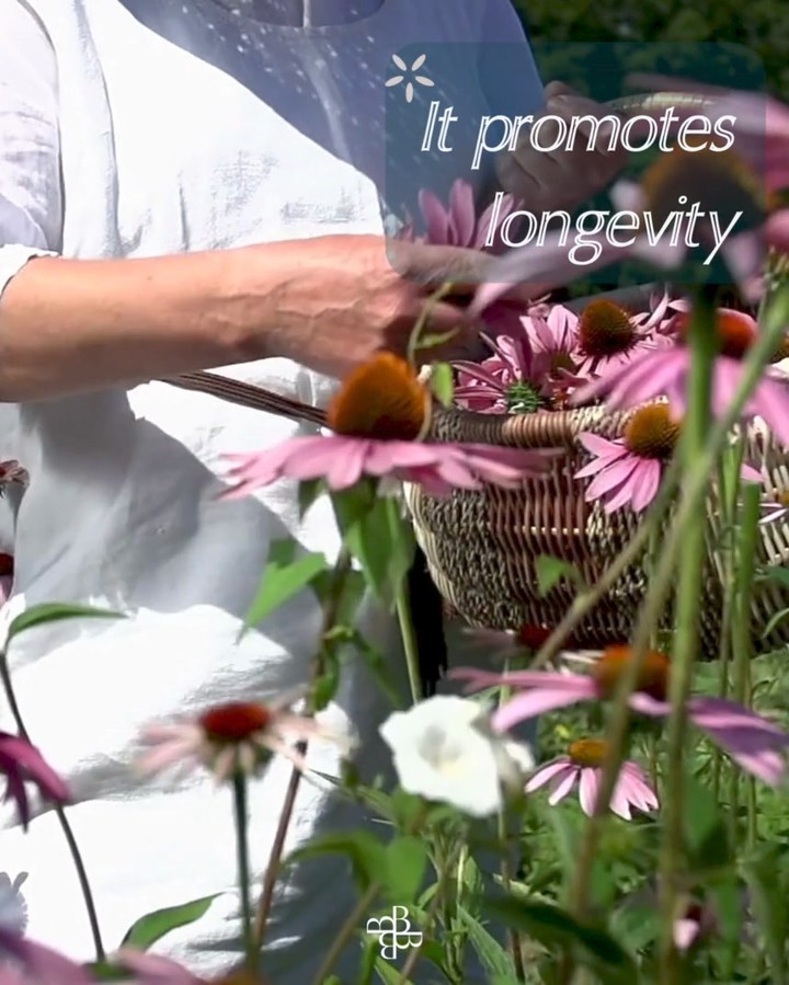 Reasons to exercise.
>
>
>
>
>
#livingthebalancebodieslife #exerciseislife #healthisweath #growthjourney #balancedbodieslife #improveyourqualityoflife #keepingbalanced #longevity #balancedbodieslifestyleclinic #healthmaintenace #growthmindset #optimiseyourlife