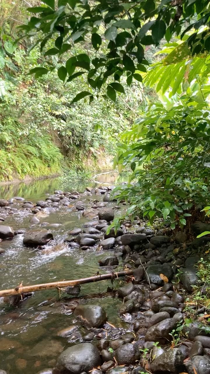 #wonderfulriver #paradiseisland