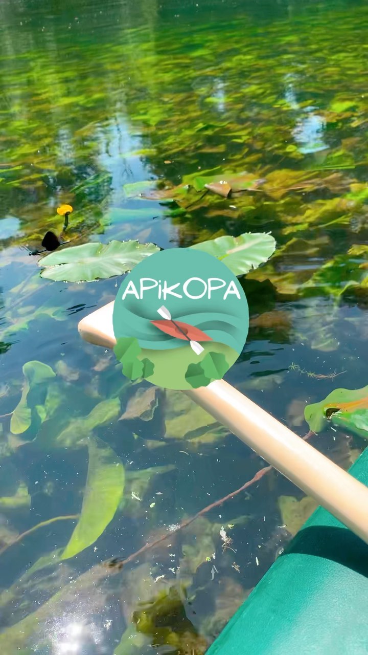 Besoin d’un bon bol d’air frais ? 🌱
• Apikopa Canoë vous accueille dès le samedi 4 mai et ce pour tout l’été ! 🌞
🚞 Accessible en train depuis Paris Gare de Lyon, ligne R
À bientôt sur l’eau 🛶
#aventure #paris #fontainebleau #forest #bivouac #bushcraft #camping #iledefrance #tourisme #canoe #kayak #vacances #moretsurloingtourisme #seineetmarne77 #jo #jo2024 #destination #pleinair