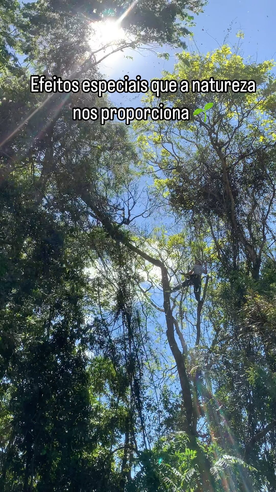 A melhor parte do meu trabalho é estar na natureza 🍃✨
#podas #arboristclimber #arboristas #dmm #notch #tree #nature #regeneration #agrofloresta