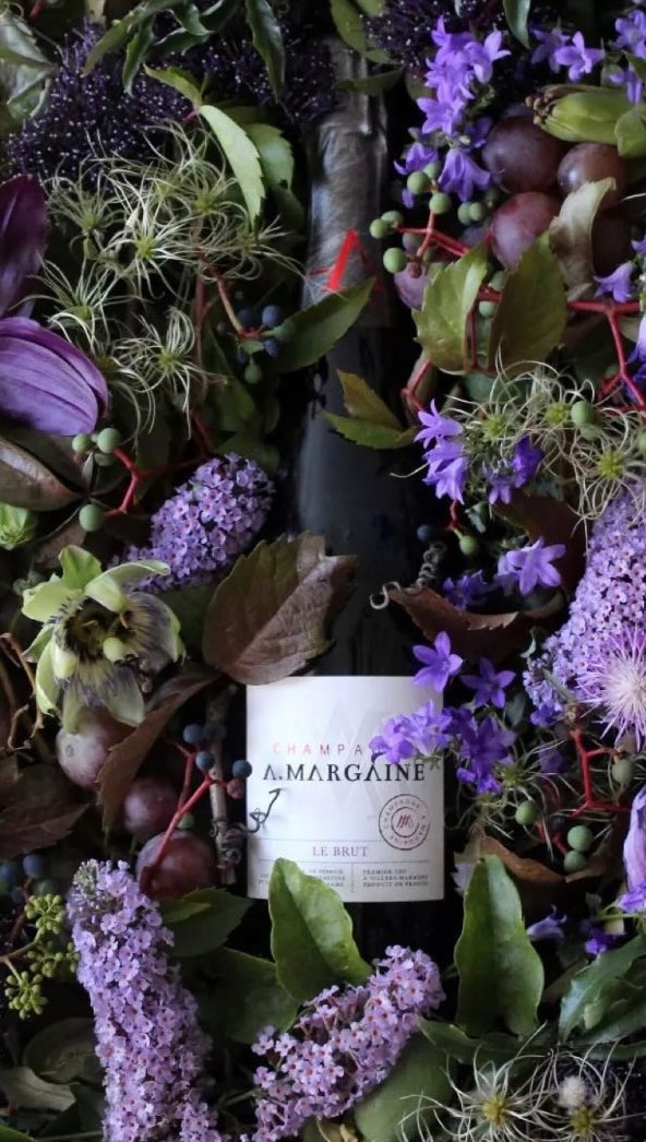 Bye bye Winter, Hello Spring ❄️ 🌸
#winter #spring #snow #sun #champagne #chardonnay #villersmarmery #1ercru #montagnedereims #montagne #margaine #amargaine #champagneamargaine