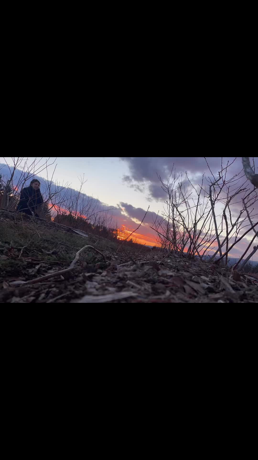 Beautiful day to prune some blueberries! Who’s ready for spring!?