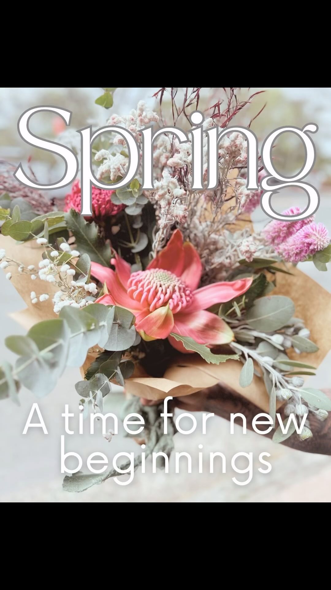 Spring is the season of renewal, and your skin deserves the same fresh start. 🌿
✨ Now is the perfect time to book in for healing skin treatments that restore and rejuvenate, giving back that youthful glow. Get your skin summer-ready and embrace the season with confidence!
⭐️ Microneedling:
- Addresses fine lines, wrinkles, acne scars, and hyperpigmentation.
- Boosts collagen for smoother, more elastic skin.
⭐️ Plasma Fibroblast:
- Non-surgical & natural alternative to Botox
- Ideal for sagging skin, pigmentation, sun spots, wrinkles, & fine lines.
⭐️ Green Sea Peel:
- A non-chemical, natural peel for exfoliation and detoxification.
- Helps with acne, pigmentation, and overall skin renewal.
⭐️ BB Glow:
- Semi-permanent foundation for a radiant, even complexion.
- Reduces dullness, fine lines, & uneven skin tone.
⭐️ Scar Camouflage:
- A specialized treatment to blend scars with surrounding skin.
- Reduces the visibility of scars, restoring skin’s natural appearance.
⭐️ Stretch Mark Camouflage:
- Targets stretch marks by blending them to match the surrounding skin tone.
- Great for minimizing the appearance of stretch marks on various areas of the body.
These treatments can be tailored to your specific skin concerns, helping you achieve glowing, youthful, and flawless skin!
#SpringRenewal #YouthfulSkin #SummerReady #HealingSkin #SummerSkin #SkinRepair #RefreshSkin #ConfidenceBoost #PlasmaFibroblast #MicroNeedling #ScarCamouflage #StretchMarkCamouflage #BBGlow #ScalpMicroPigmentation #BioMicroneedling #GreenSeaPeel #WollongongSkinClinic #IllawarraSkinClinic #LaBelleSkinTherapy