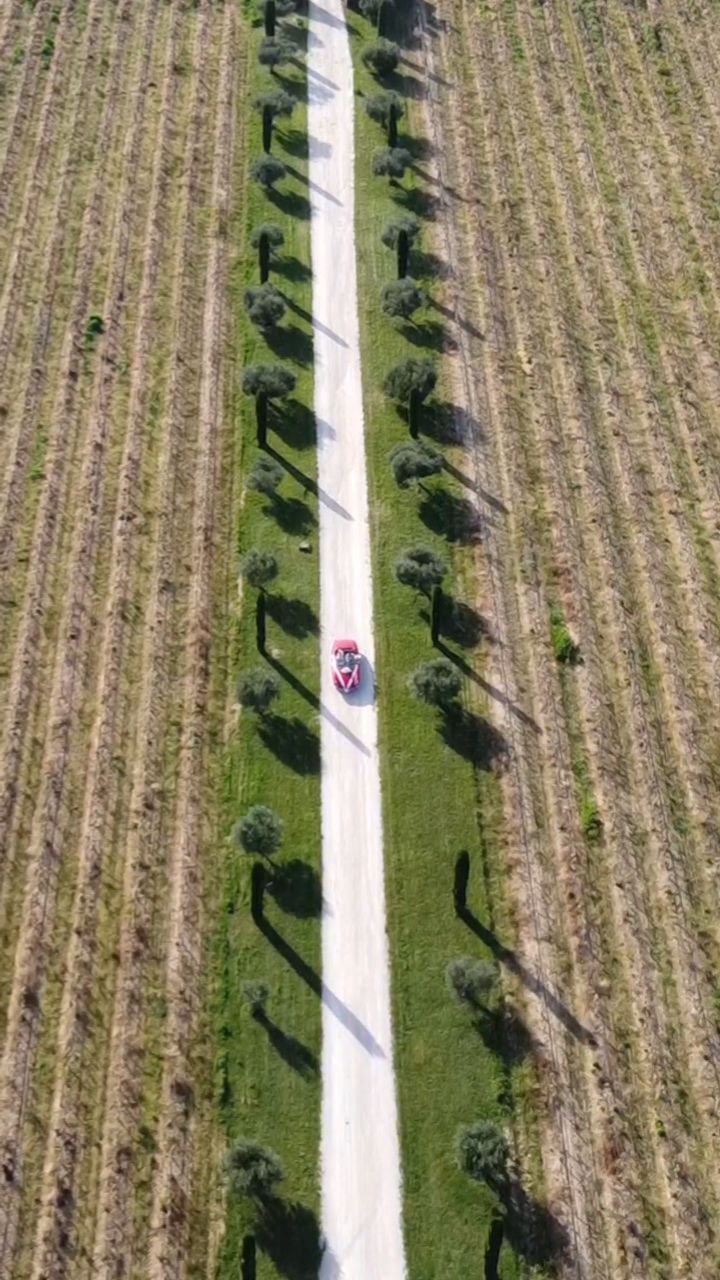 Entrée majestueuse au Mas des Auréliens, immortalisée par notre partenaire privilégié @cruz_prod13 🎥✨🌿
À quand votre tour ? 😍
.
.
#MasdesAureliens #lieudemariage #mariageenprovence #lieudexception #receptiondemariage