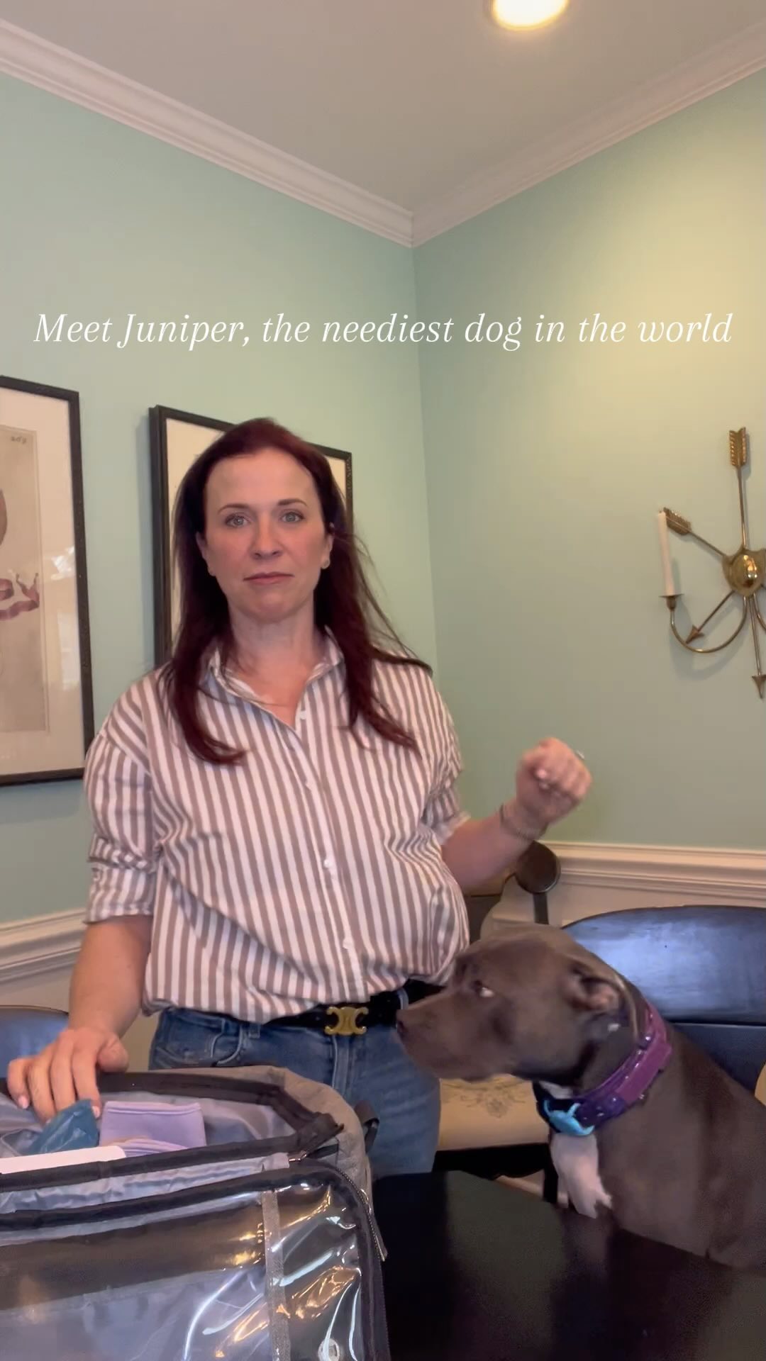 Blooper reel from yesterday’s video. I tried recording with Juniper and it was a big fail! 😂 Gotta love dogs! 🐶 💞
What do you think? Should she be in more videos?
#pitbullsofinstagram #needydog #professionalorganizer #bloopers #professionalorganizing #dogsmakelifebetter