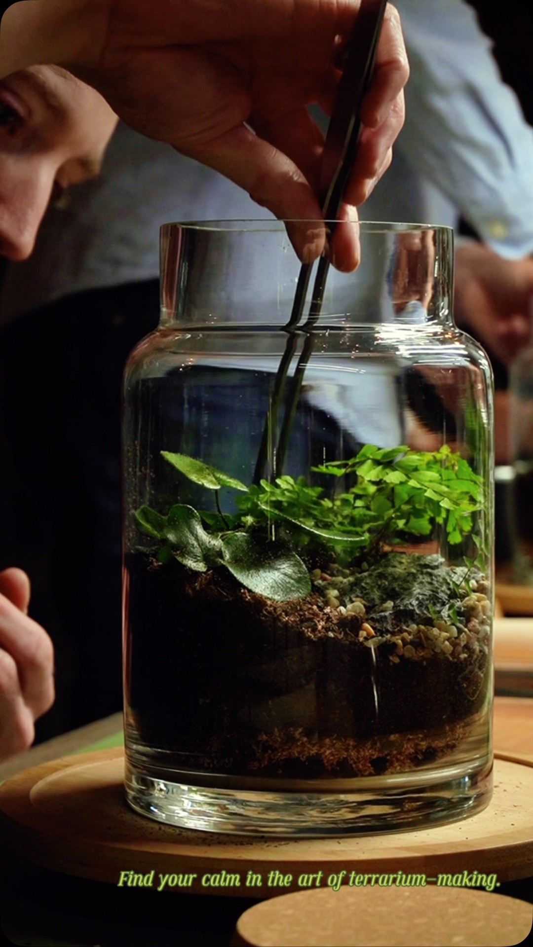 Experience the calm - join us for a workshop. 🪴
#terrariumworkshop #diyterrarium #plantlovers #greenthumb #vancouverevents #vancouverlife #indooractivities