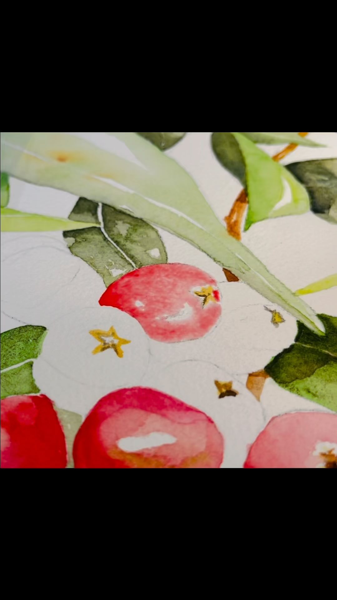 Berries!! Dropping in some green & moving the red to create light. Wet-in-wet process.....very satisfying.
Arches 300gsm professional watercolour paper with W&N paints.
🌸 AdeleWalkerDesigns.con