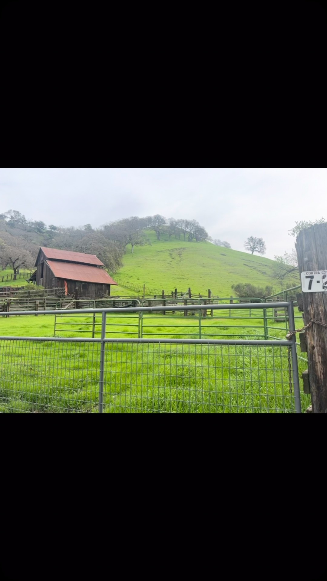 Visiting Borges Ranch today. The hills are gorgeous! So grateful we could get out and move! #thankfulthursday #outdooreducation #wildflowers #almostspring