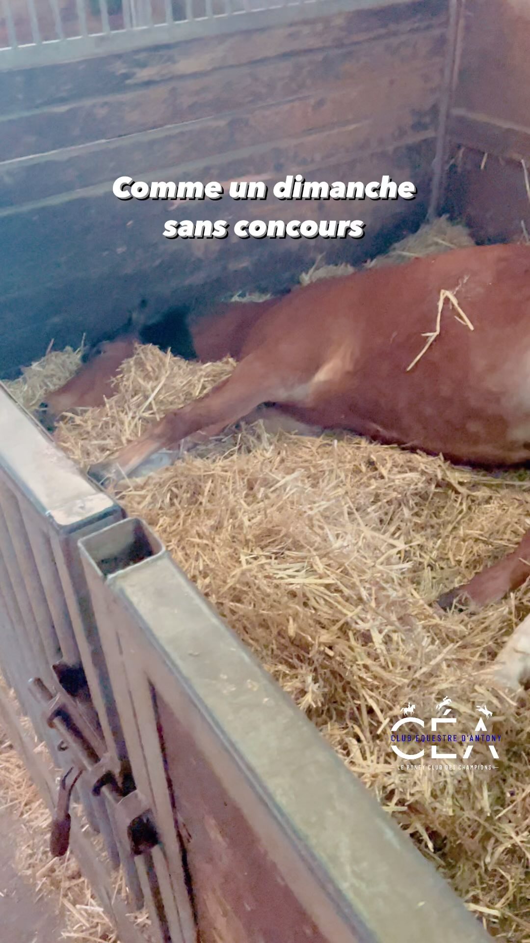 Team grasse matinée 😴 ou concours 🏆 ?