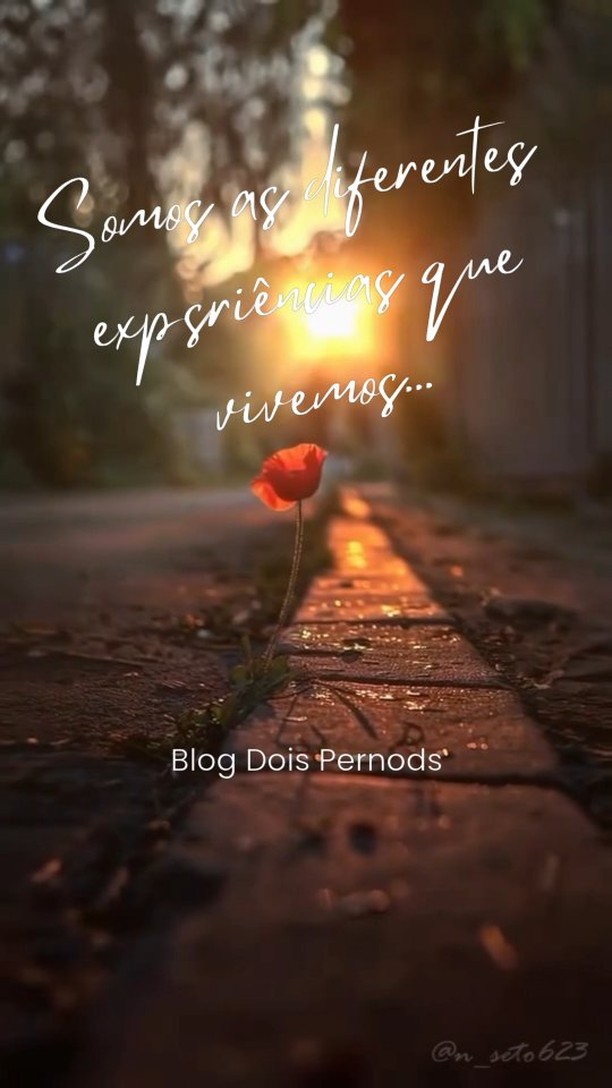 ✍️ Somos únicos e essa é a maior riqueza da nossa história.
🏷 #literaturabrasileira #literatura #pensamentos #poesia #versos #filosofia #blogger #escritacriativa #oscarcalixto