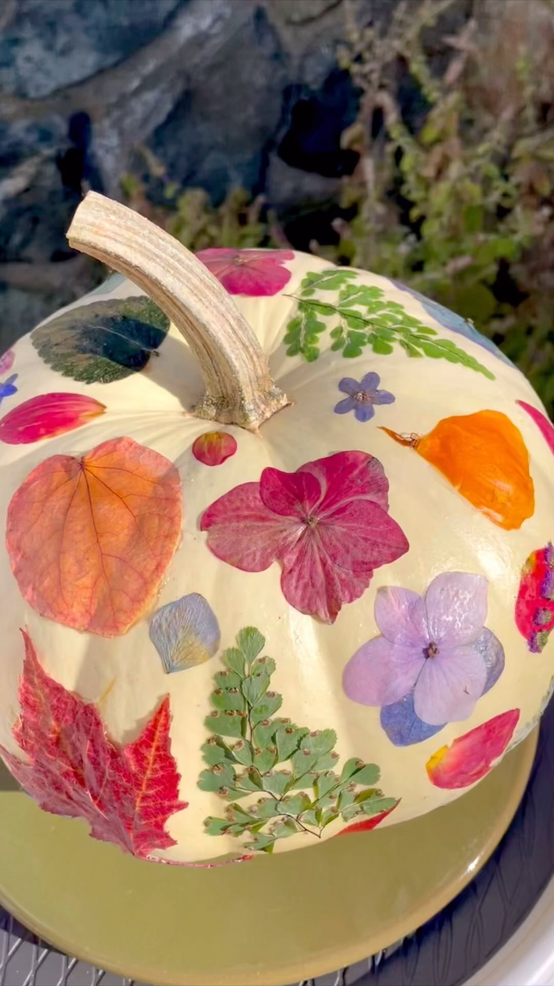 Pressed plant pumpkin 🎃 🌼🍂 (compostable edition!)
It was so much fun to forage for these autumn treasures and turn them into a festive decoration for the spa. 🍁 I used @northwoodsfolk food-grade, compostable glue recipe instead of Mod Podge, so this craft can go straight into the compost when the season’s over. 🌿
Come check it out in the boutique at U Retreat, and if you want to be covered in gorgeous plants just like this pumpkin… come see me for a facial! 😉
For the super simple glue recipe, check out @northwoodsfolk or DM me and I will link you to her post with the recipe.