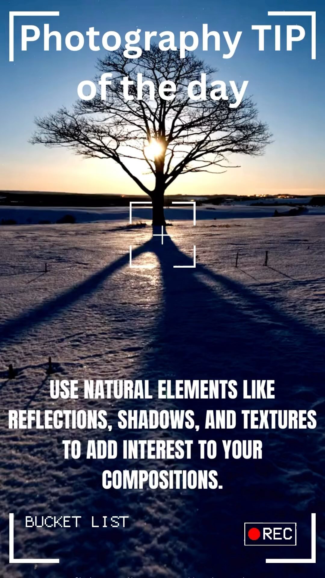 Incorporating natural elements like shadows, reflections, and textures can indeed enhance visual interest in a composition. Shadows can create depth and dimension, reflections can add a sense of realism and complexity, while textures can provide tactile richness and visual appeal. Experimenting with these elements can bring a dynamic and captivating quality to your work. If you need further guidance on how to incorporate these elements, feel free to ask!
#photography
#compositions
#naturalelements
#texturephotography