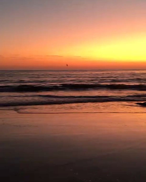 Il est 6 heures du matin, la plage de Brava a Buzios était ton chemin de tous les matins. Tu étais pour moi, un grand frère humble, généreux, modeste, et bienveillant avec tous ceux que tu croisais. J’ai voulu t’accompagner jusqu’à cette plage que tu aimais pour ton dernier voyage. Tu vas me manquer… Tchao mon Kees.